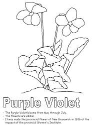 Color ideas for home, bedroom, kitchen, wall, living room, bathroom, wedding decoration. Purple Violet Coloring Page
