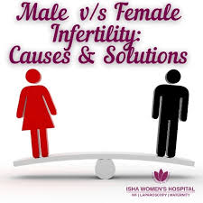 Image result for Female Infertility