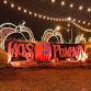Jacks Pumpkin Pop Up Chicago event image