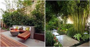Bamboo is a popular material for outdoor landscaping. 30 Bamboo Ideas For The Garden