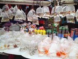 Berikut disertakan senarai lokasi pasar malam di johor bahru jb mengikut hari untuk panduan semua. 61 Jb Night Market Pasar Malam Location List Monday To Sunday