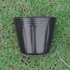 Large plastic round venetian garden indoor plant pots flower planter black 33cm. 100pcs Round Nutritional Black Plastic Nursery Pots Seedlings Plants Pots Garden Planter Pot For Plants Nursery Pot Nursery Pots Aliexpress