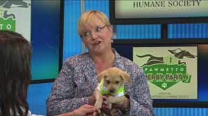 These are brand ads for the greenville humane society in greenville, sc. Pawmetto Derby Party For Greenville Humane Society Set For April 30