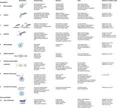 We did not find results for: Frontiers The Mechanics Of Mitotic Cell Rounding Cell And Developmental Biology