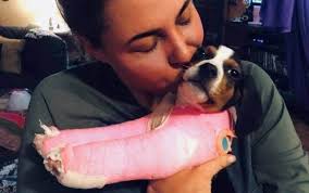 Puppy Born With Upside Down Paws Will Soon Walk For The First Time With Images Healthy Puppy Puppies Walker Coonhound
