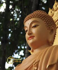 13+ hình ảnh tượng Phật Bổn Sư đẹp nhất. Diện tượng TRANG NGHIÊM
