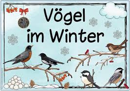 Ideenreise Vogel Im Winter Ideenreise Grundschule