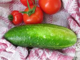 Que Faire Des Gros Cornichons Touche A Tout Gros Cornichon Cornichons Cornichon