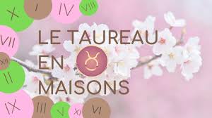 Le Taureau En Maison En 2020 Taureau Signe Astrologique Astrologie