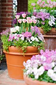 How to plant flowers in your garden. How To Grow Bulbs In Containers Better Homes Gardens