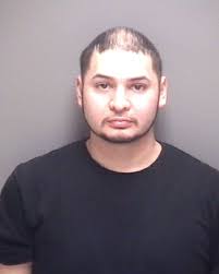 Mugshots: Spring break antics land 30 in jail