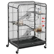 We are located in tennessee operating a twra state licenced and usda federally licenced facility and offer grey squirrels, black squirrels and grey squirrels with a black color morph for sale. Squirrel Cage In Small Animal Cages Enclosures For Sale Ebay