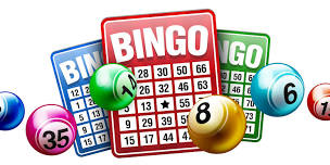 Bingo Night