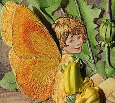 Dandelion Flower Fairy Di Van Niekerk Dandelion Flower Flower Fairies Flower Fairy