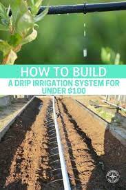 How To Build A Drip Irrigation System For Under 100 Shtfpreparedness Drip Irrigation System Design Garden Watering System Garden Irrigation System