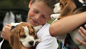 18 photos: Pet Show at Urbandale Library