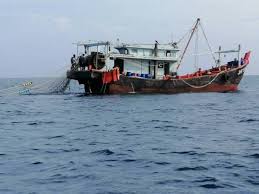 Jabatan perhutanan negeri johor is a agensi kerajaan based in nusajaya, johor. Bot Ditahan Tangkap Ikan Di Kawasan Tidak Dibenarkan