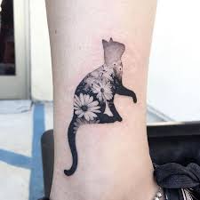 Pin On Cats