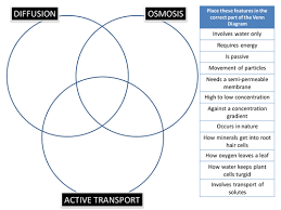 Complete the questions below while you go through the simulation on osmosis. Diffusion Osmosis Active Transport Venn Puzzle Teaching Resources