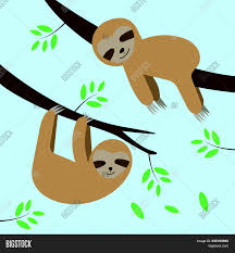 We did not find results for: Cute Sloths Cartoon Vector Photo Free Trial Bigstock