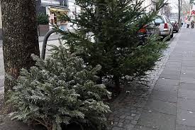 Eine sammelstelle in der innenstadt ist der parkplatz neue torstraße am café weber. Abfuhrtermine Fur Die Weihnachtsbaume Halloherne Lokal Aktuell Online
