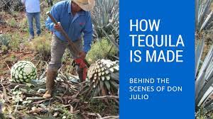 What fruit is tequila made from. How Tequila Is Made Behind The Scenes Of Don Julio Tequila Youtube