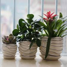 Shop online for garden pots at amazon.ae. Loveboutique Ceramic Flower Plant Pot Size 4 Inch 6 Inch And 7 Inch Modern Set Of 3 Plastic Plant Pots Ceramic Plant Pots Plant Pots Uk