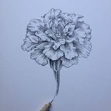 Draw several lengthwise lines in the bud. Marigold Flower Tattoo Drawing Novocom Top