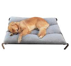 Ottima anche per coppie di cani tipo pastore tedesco o labrador. Personalita Sfortuna Coccolare Lettino Per Cani Taglia Piccola Amazon Agingtheafricanlion Org