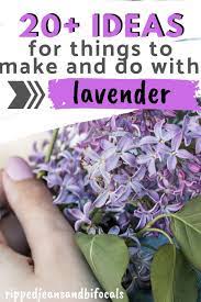 21 Reasons To Love Lavender Ripped Jeans Bifocals Diy Lavender Gifts Lavender Gifts Fun Diys
