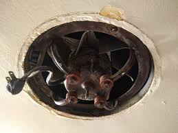 Nutone white vertical exhaust ceiling fan 8. How To Retrofit Existing Kitchen Exhaust Fan Home Improvement Stack Exchange