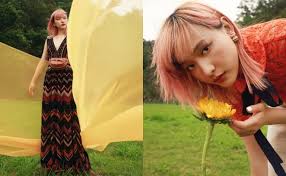 關於Hanna Chan，你需要知道的一些事