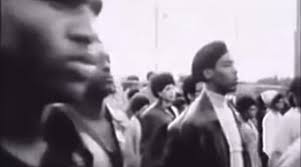 Jazz the Professor's Video