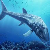 Whether this is to replace a dino lost through a bug, or just because in your own personal game Leedsichthys Simulator 1 0 4 Apks Com Jurassic Leedsichthys Apk Download