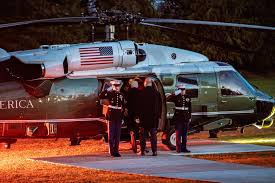 Image result for Bidens sp.no.1