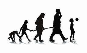 Evolutia uneltelor a pornit de la simplu la complex, de la o singura utilizare la mai multe utilizari. Omenirea La Plural Cate Specii De Oameni Vor Exista In Viitor