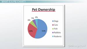 what is a pie chart definition examples video