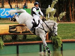 Professional service with professional staff. You Know Who Has To Deal With Rio S Toughest Event Horses Wired