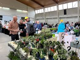 Photo of Uncle Bill Lopes and cousin Freddy Heath getting interviewed by nz  herald at the Sir George Grey hotel