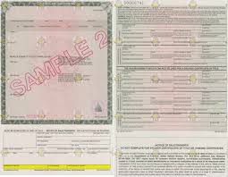 Along with what documents you need to register your car.bill. What Does A Car Title Look Like