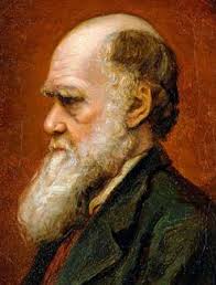 Dr Charles Bree, the scientist who challenged Charles Darwin's science ·  Creation.com