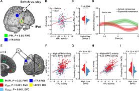 To anything they observe on the left. A Brain Network Supporting Social Influences In Human Decision Making Science Advances