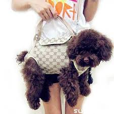 グッチ 犬 猫 ペットキャリー キャリーバッグ ブランド 犬用品 パロディ ペット用 gucci 犬用スリング 小型犬 抱っこ紐 手提げ 斜め掛け 軽量 多機能 送料無料 pet clothes pet accessories gucci pet