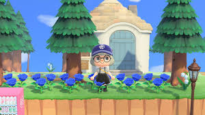 Can roses be blue naturally? How To Grow Blue Roses In Animal Crossing New Horizons Dexerto