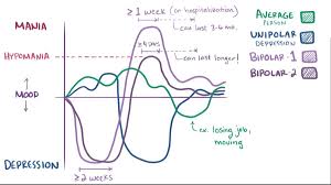 In bipolar 2, the hypomania episodes are characterized by elevated, expansive or irritable mood which is otherwise normal. File Bipolar Disorder Webm Wikimedia Commons