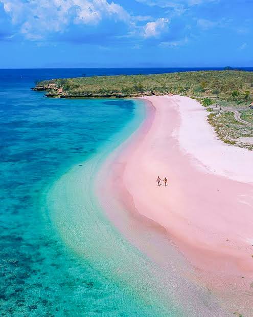 Pasir merah muda dan laut di Pink Beach Lombok
