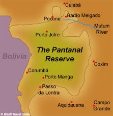 What are the countries that border brazil? Best Time To Visit Pantanal And Cuiaba Area