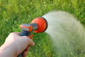 Maybe you would like to learn more about one of these? How Often Should I Water My Lawn What Happens If Too Often