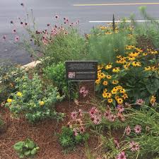 Attractive flowers attracts pollinators colorful defines paths wildlife food source dimensions: Urban Pollinator Culinary Herb Garden Gardner Monaco Design