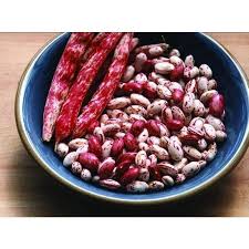 Fold the stiffly beaten egg whites into the batter gently, scraping the bottom and sides of the bowl, until combined. Vermont Cranberry Bush Dried Bean Heirloom 85 Days